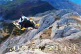 Real-Life Aladdin: Man Actually Flies on a Magic Carpet